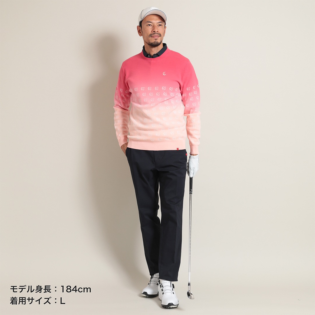 グラデーションクルーネックニット (MENS) | トップス | メンズ